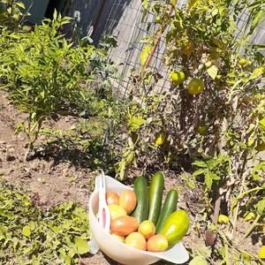 Meet your Posher, Modupe